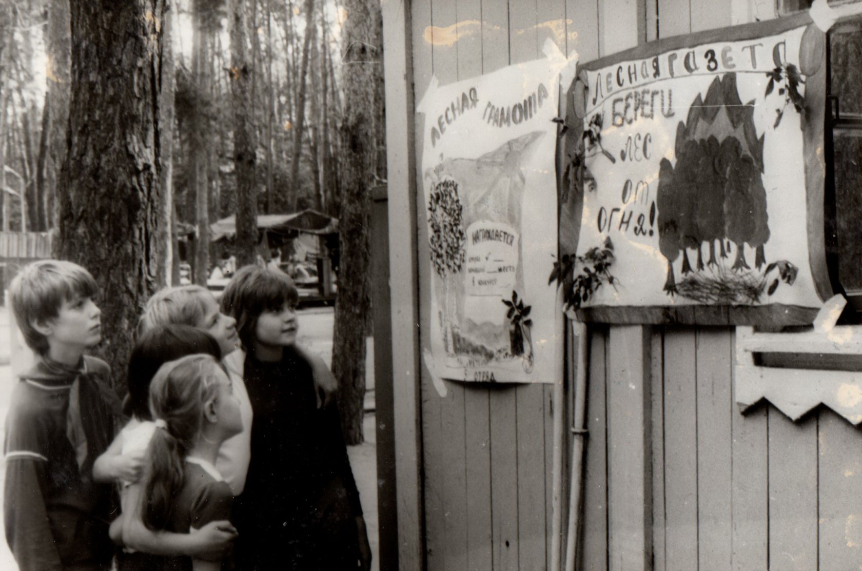 Архівне фото піонерського табору Метеорит у 1980-х роках, кадр 3